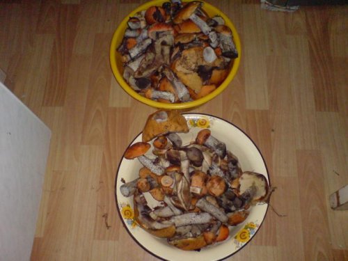 Грибочки