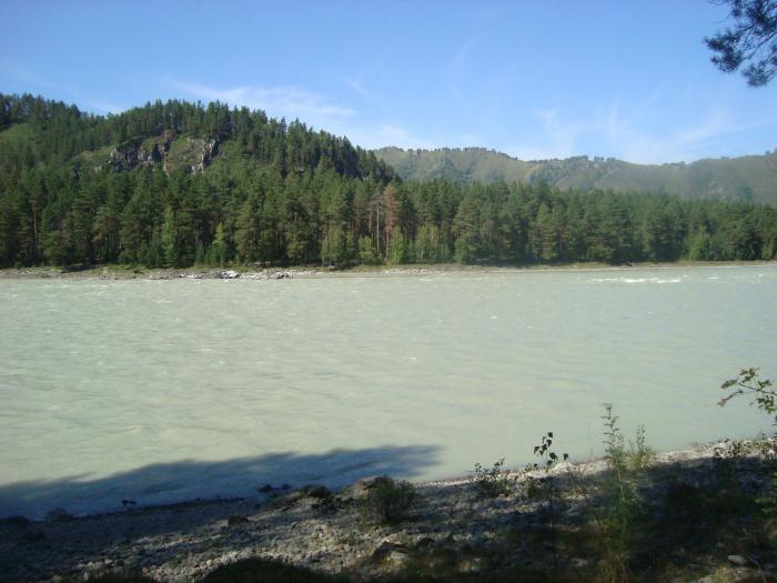 Катунь.