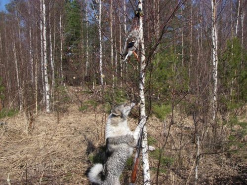Моёёёёёёё.