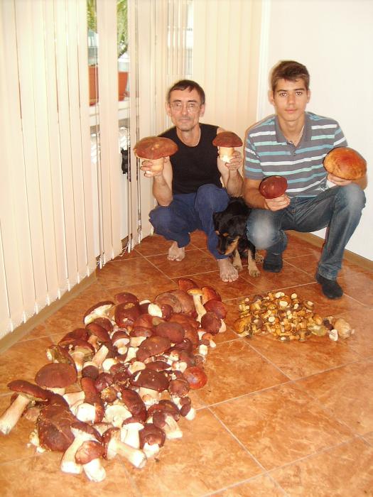 Есть на Томской земле грибы.