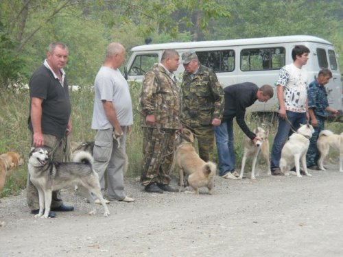 Краевая выставка.
