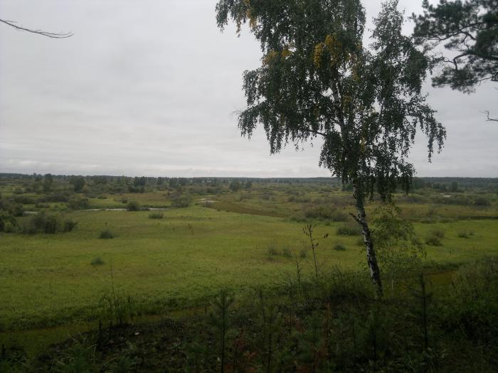 Пойма