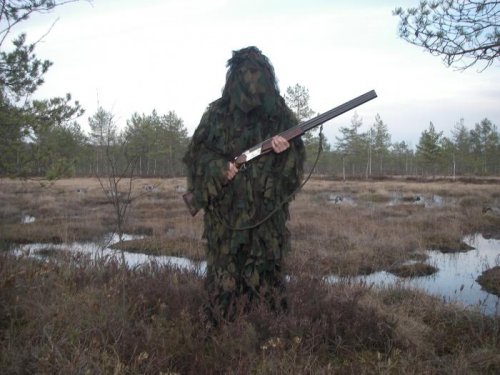За гусем.