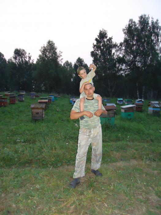пасека