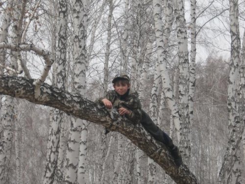 я залез на берёзу