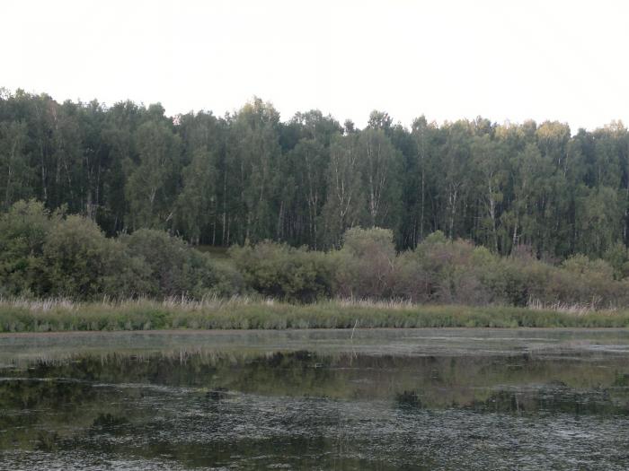 полетели