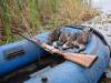 В Новосибирской области открылся сезон охоты на пернатую дичь