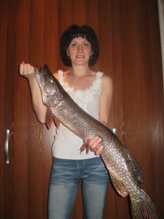 Вот они Красотки!