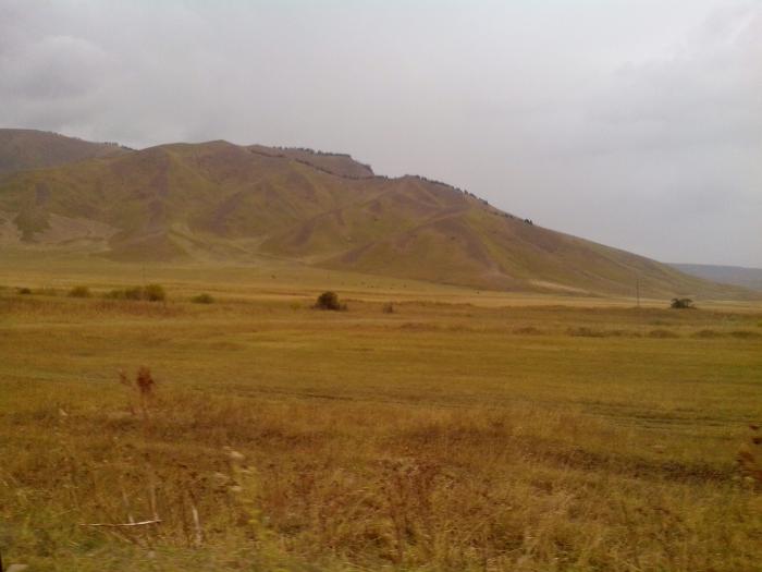 Альпийские луга Кыргыстана