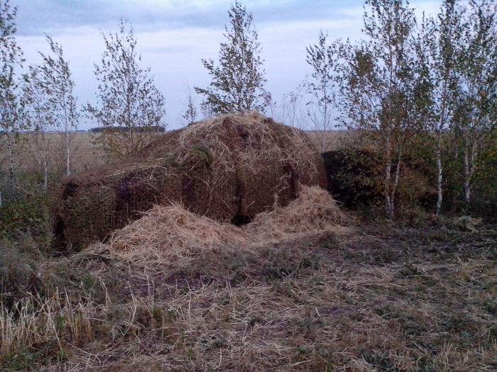 Фердинанд (САУ)