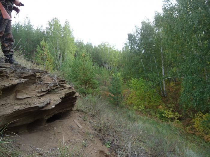 утро,