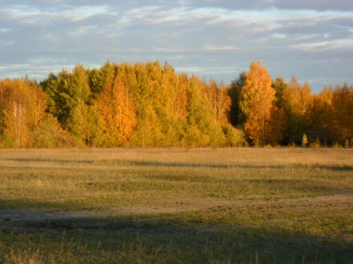 краски осени...