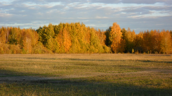 краски осени...