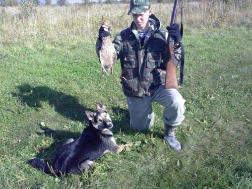 охота на уток осень 2011