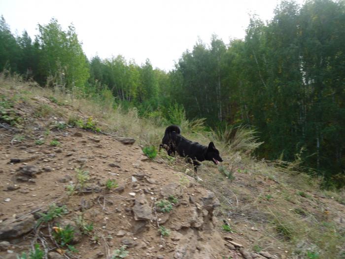 15 сентября 2012