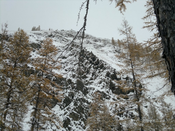Первый снег