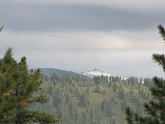 Вершинка в снегу