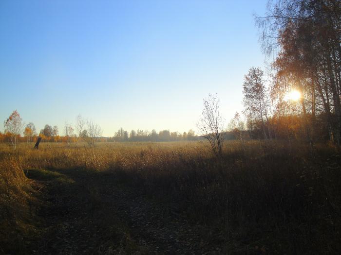 Морозный закат