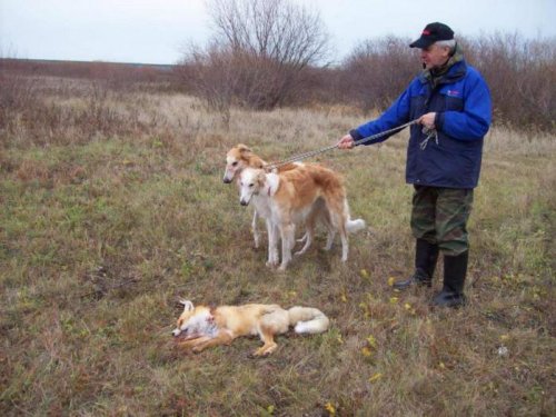 полевые испытания в Кургане.