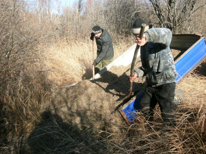 Готовим кормовую площадку для кабанов,
