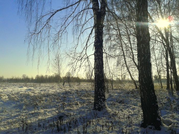 Поздняя осень