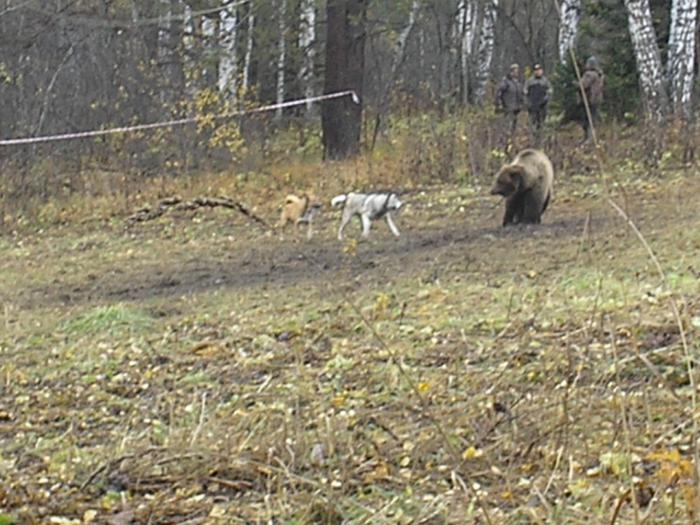 притравка всл 8 мес