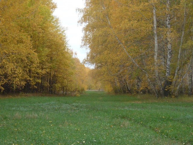 Осень