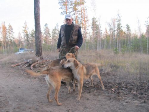 На состязаниях 14 .10.2012г.