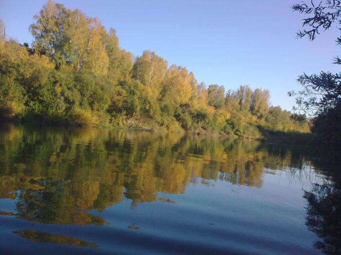 Осень на р.Иня 