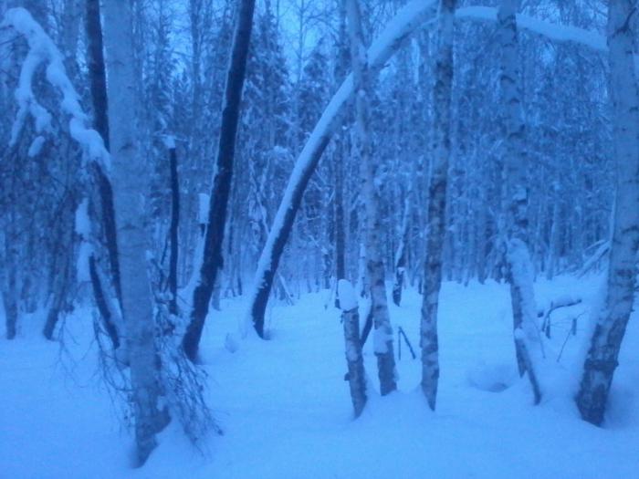 на покров 