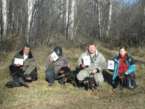 С питомцами на испытаниях по вольерному барсуку.