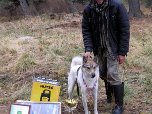 Состязания на Семинском перевале. Полевой Чемпион. Шархан, вл. Крынин В.М.