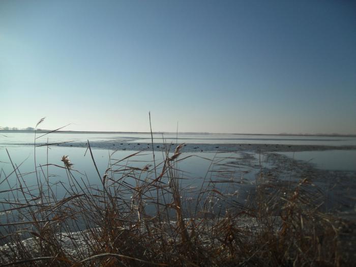 Закрытие 2012г