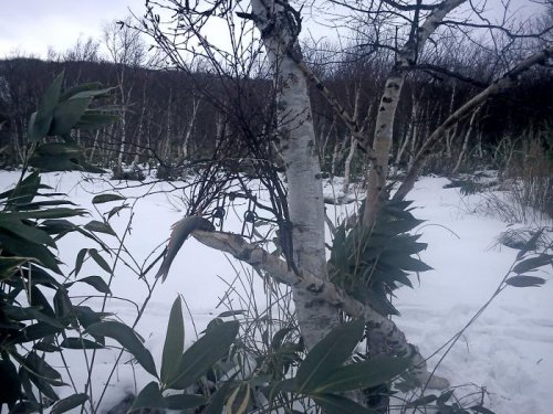 Установка КП 120 