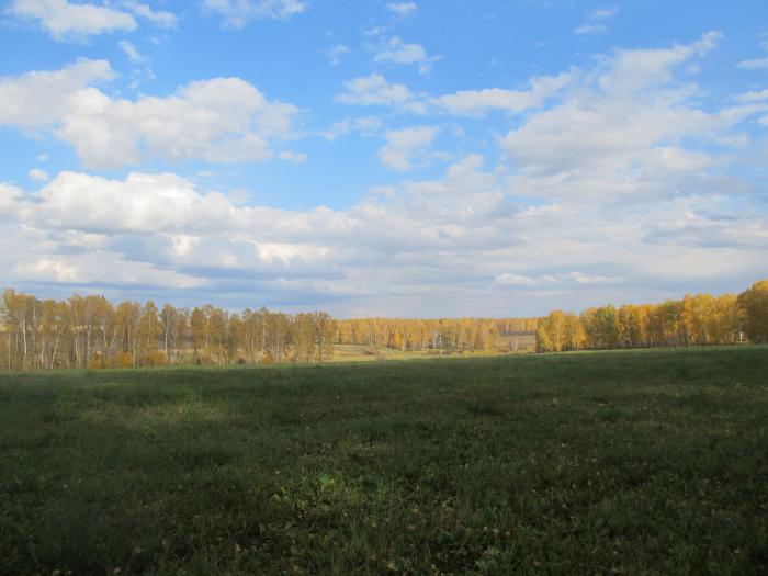 Золотая осень.