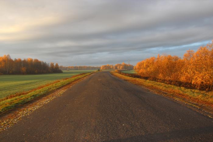 Утренняя дорога