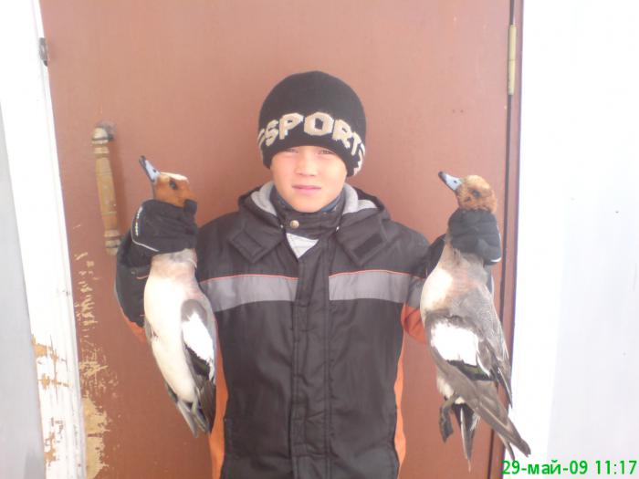 племяш с утками