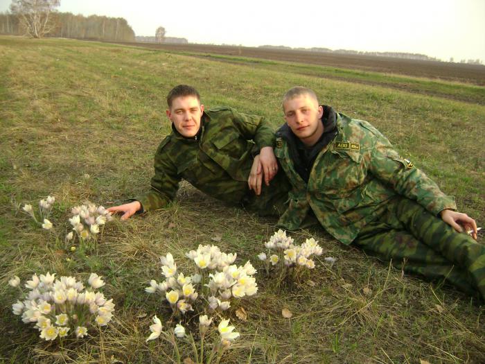 перед зорькой