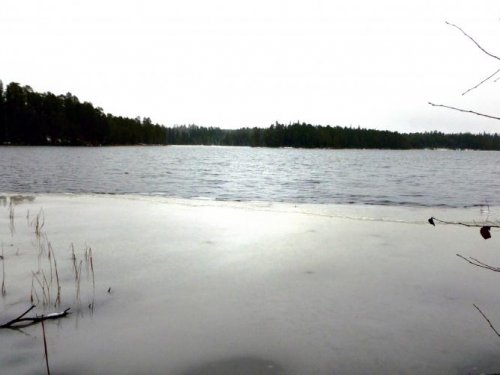 Лесное озеро.