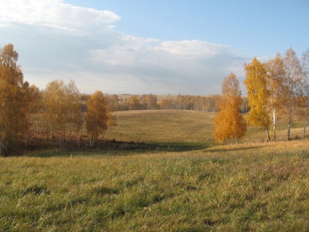 Золотая осень. 