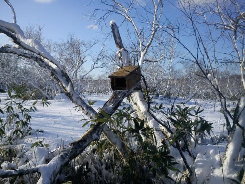 установка КПя 140 в ящике на соболя. 