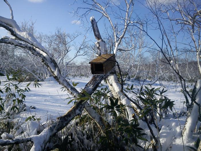 установка КПя 140 в ящике на соболя. 
