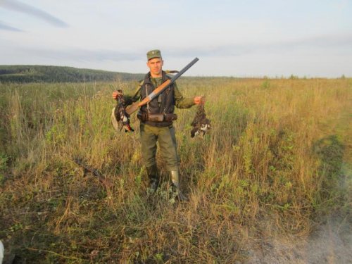В полях на боровую открытие охоты 2012 