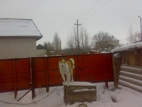 и охранять приходится.