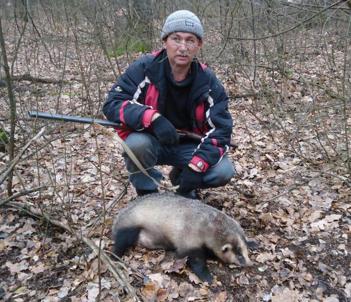 час работы иборсук у ног.