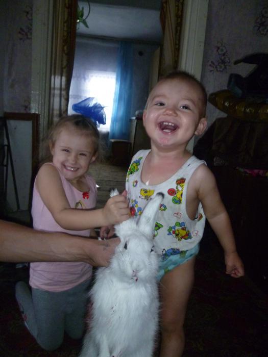 Мои детки и зайчик!