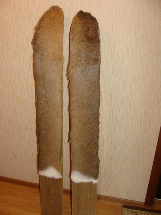 лыжи