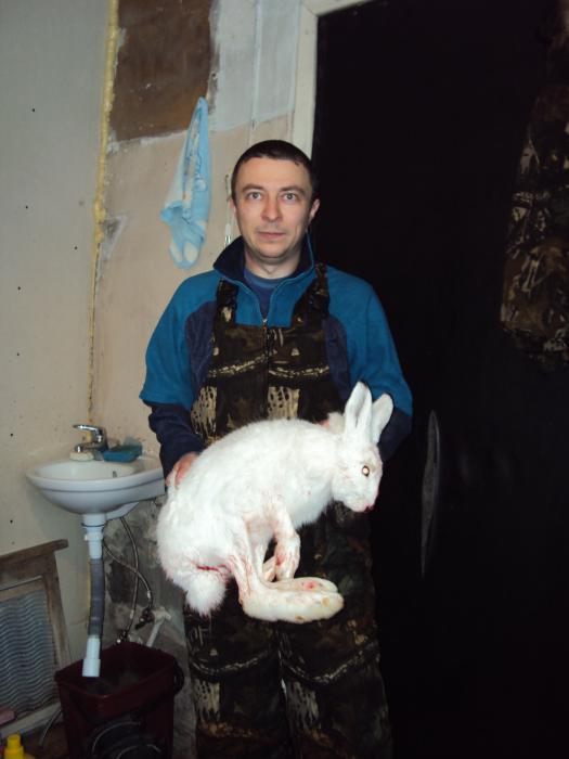 первый в сезоне