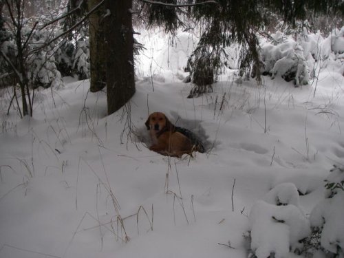 Давай пайку,хорош фотить....
