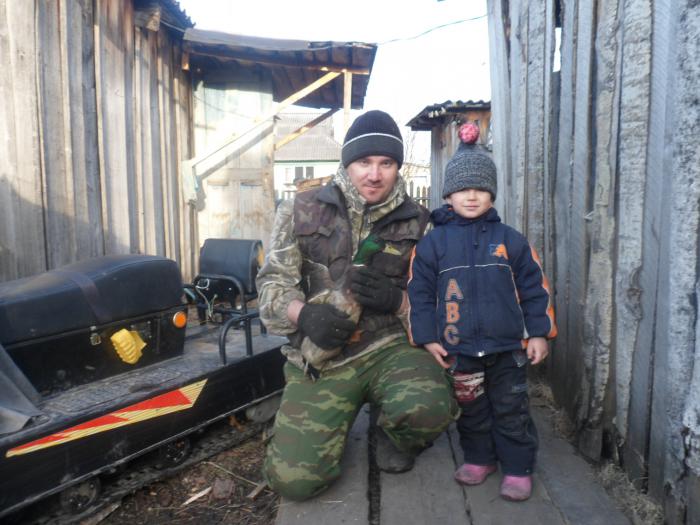 селезня от подсадной от делили